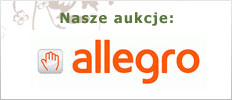 nasze aukcje na allegro